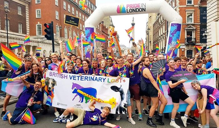 Celebrating LGBTQ+ within the Veterinary Profession: When, Why and How?